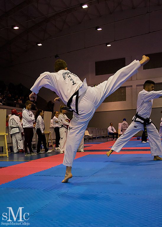 COPA SEUL, 2017  (159).JPG